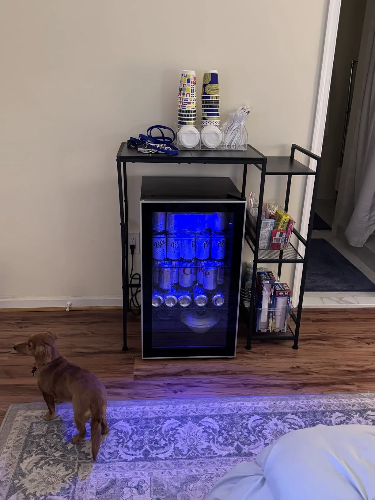 Mini frigider pentru băuturi, fotografie client